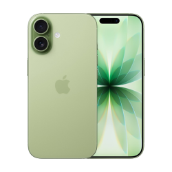 1 - Apple iPhone 17 256GB - Indian Spec - Sage